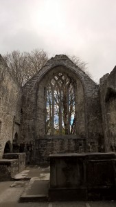 Muckross Abbey 2